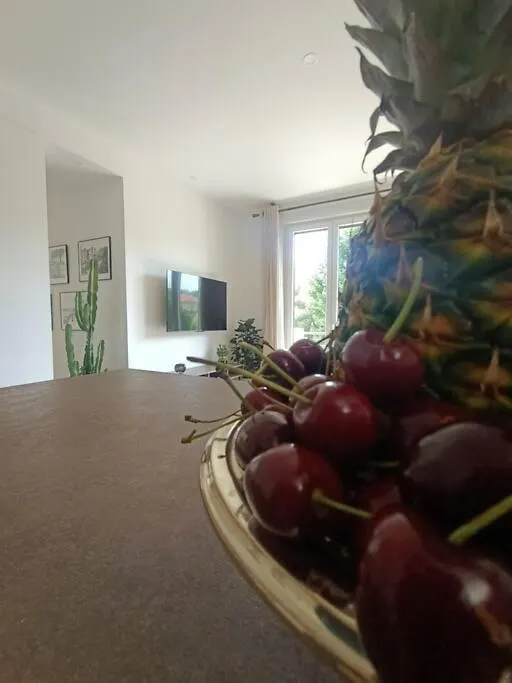 Ferienwohnung The Chic Liberation Nizza Frankreich